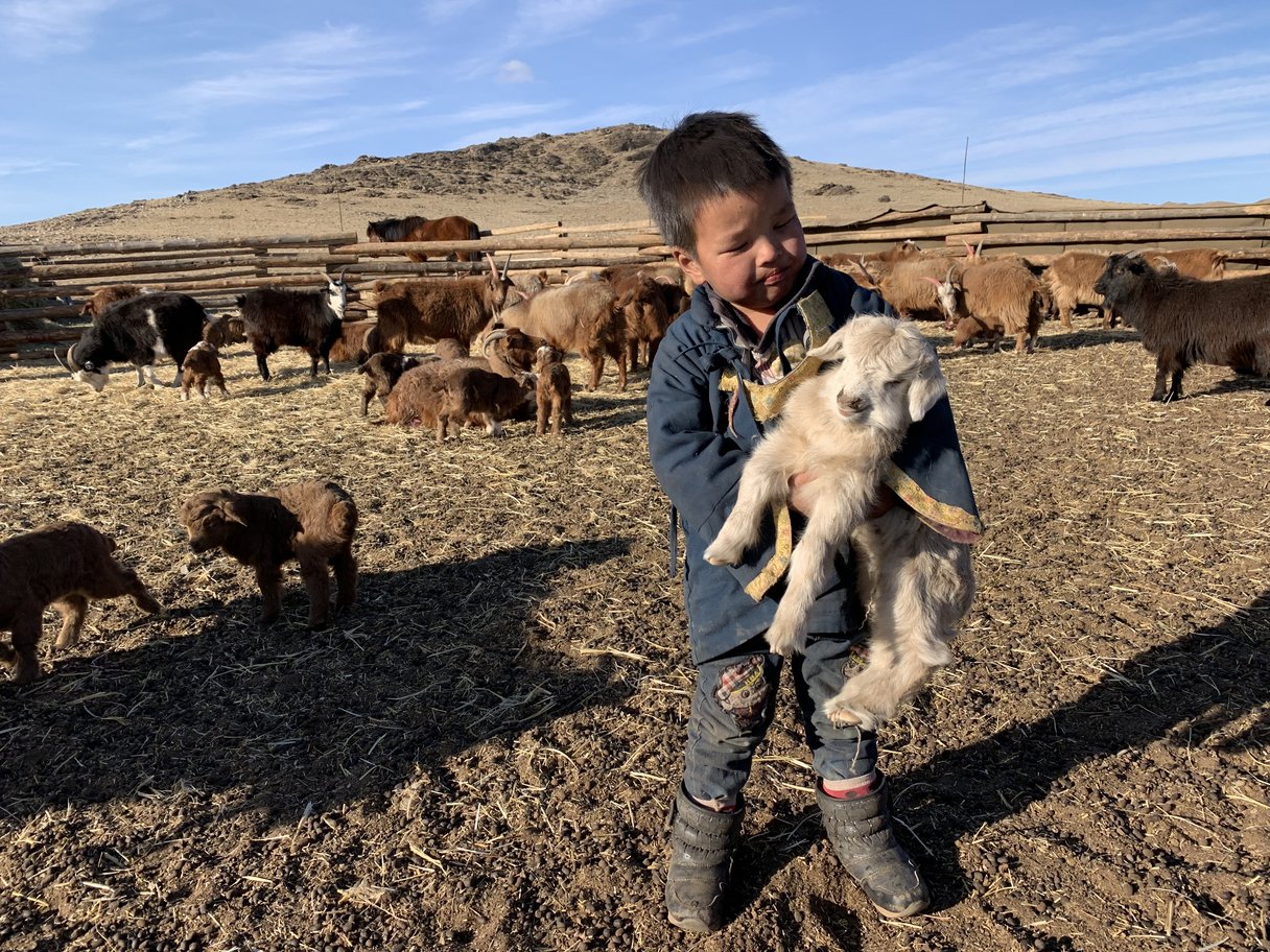 Hirtenjunge in der Mongolei